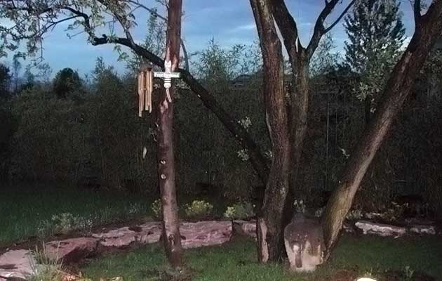 Galleria Lomagna Garden